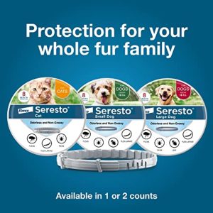 Best Dog Vet supplies