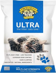 Best Cat Supplies